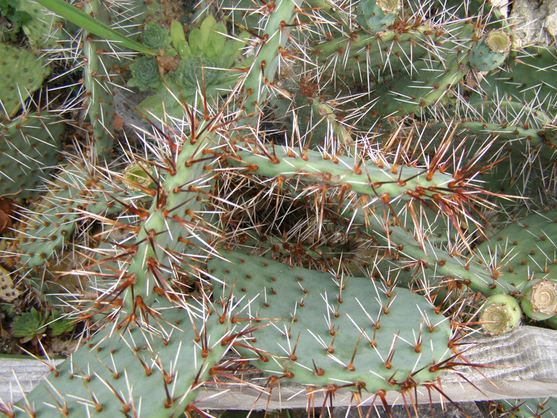 P8110234