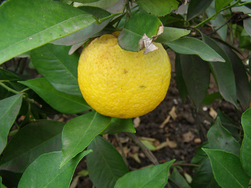 P8110236