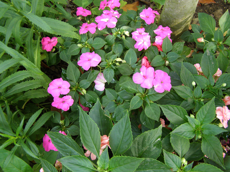 P8110237