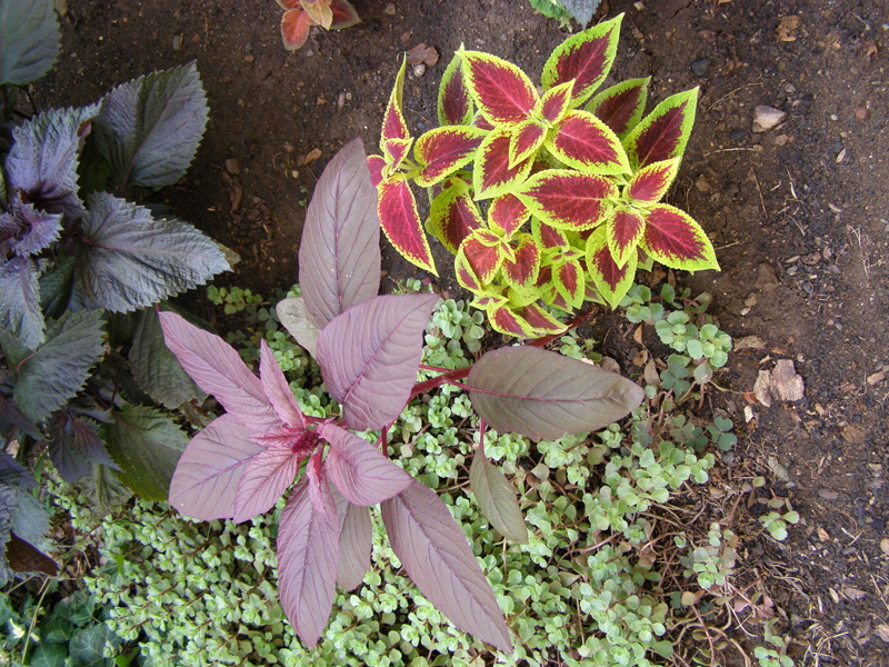 P8110251