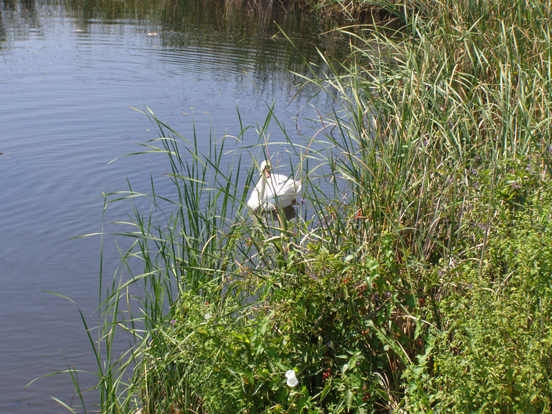 P8120283