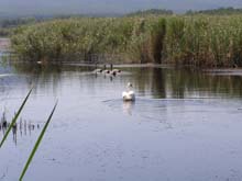 P8120281