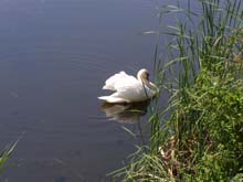 P8120288