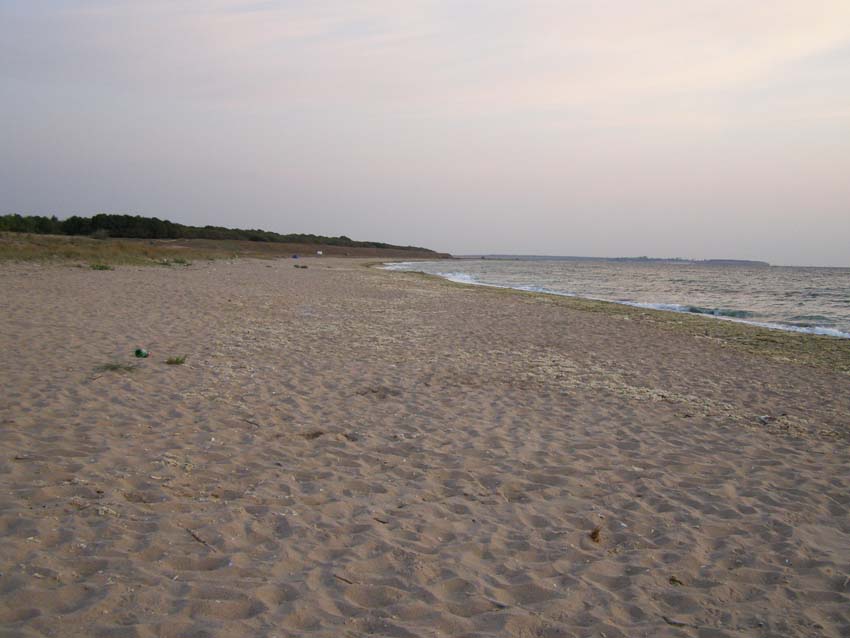 P8310333