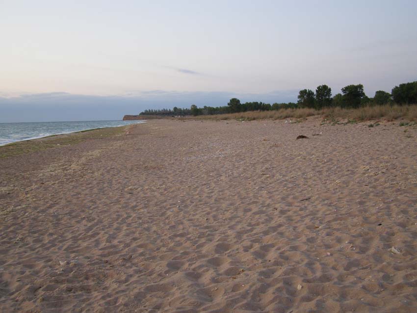 P8310334