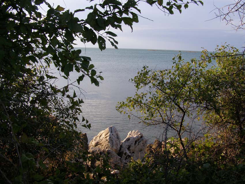 P9010377