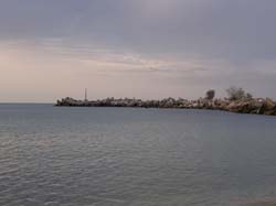 P9010361