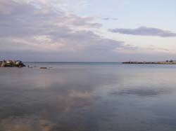 P9010364