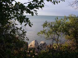 P9010377