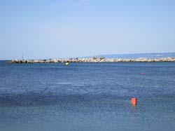IMG_1909