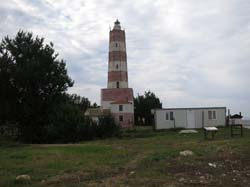 IMG_1971