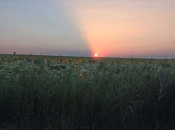 IMG_0195