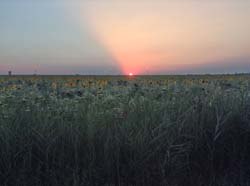 IMG_0197