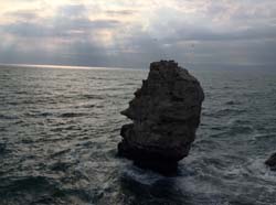 IMG_0220