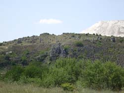 IMG_1850
