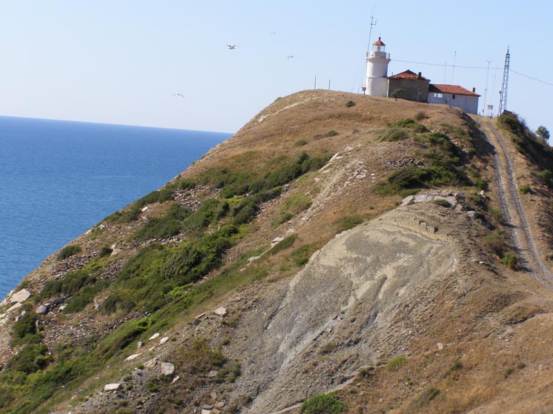P7080033