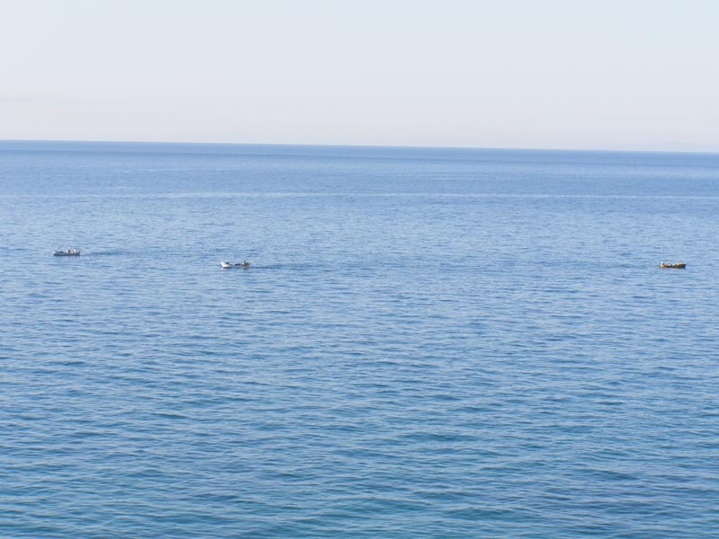 P7090047