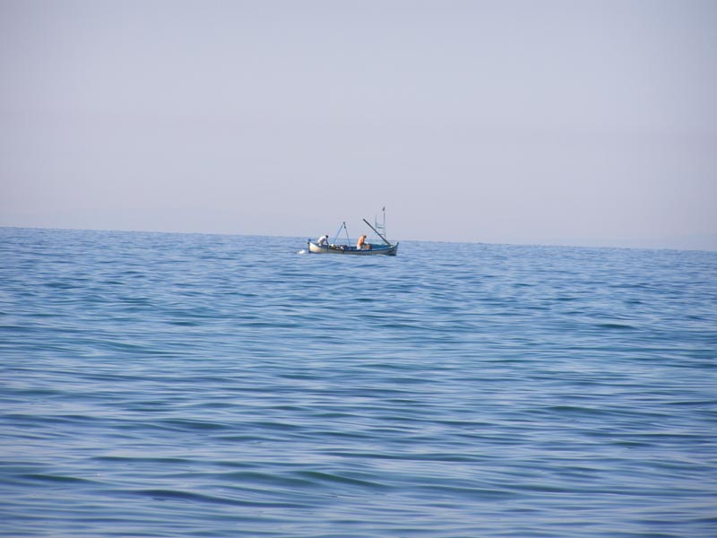 P7090056