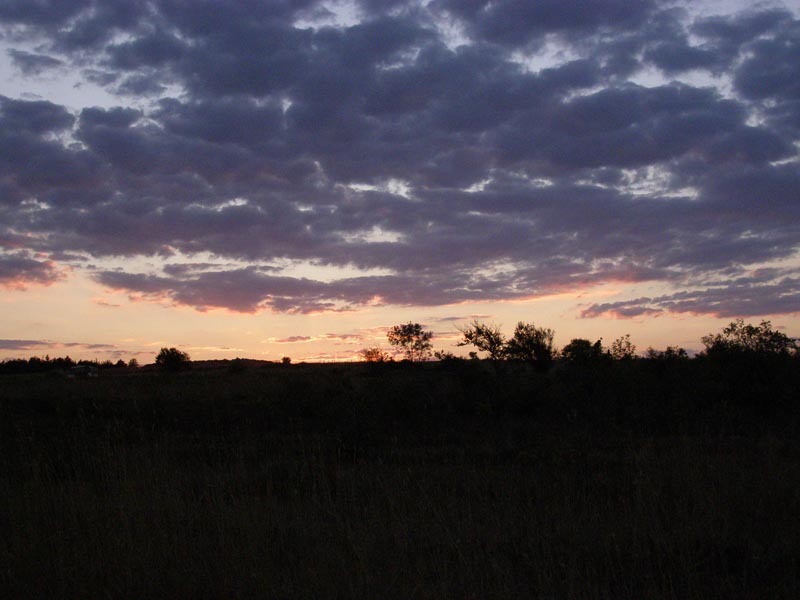 P7130066