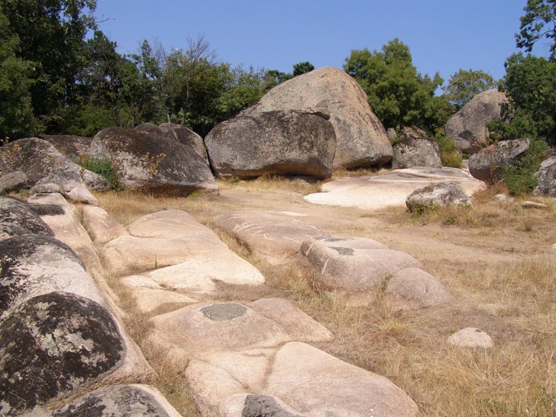 P7150086
