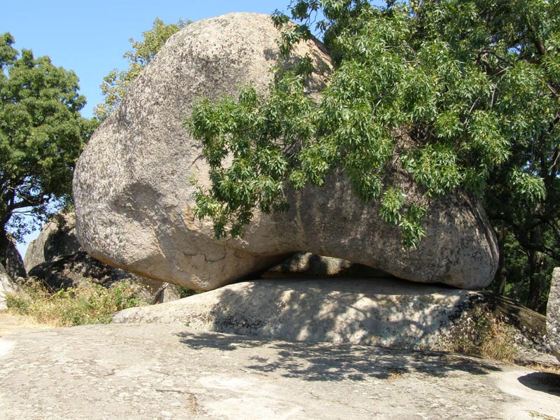 P7150089