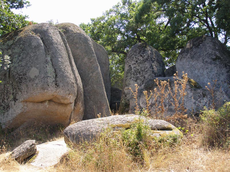 P7150090