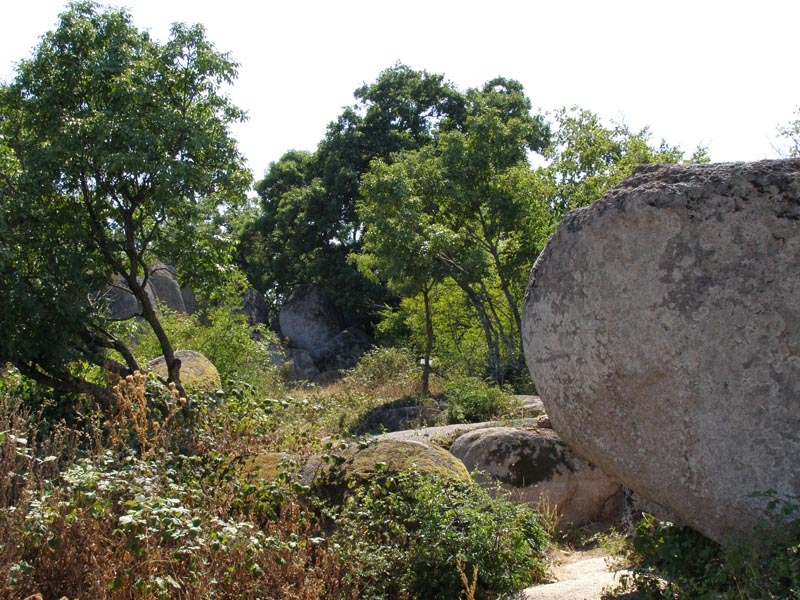 P7150091