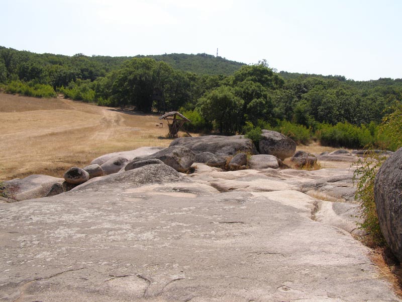 P7150094