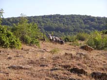 P7080022
