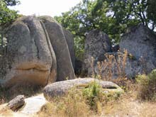 P7150090