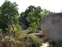 P7150091