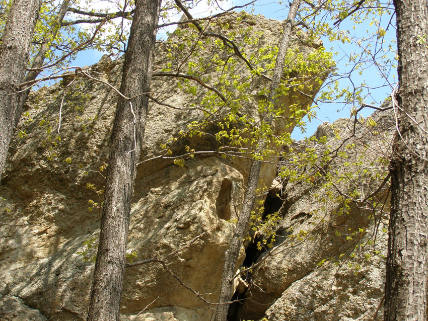 P4170659