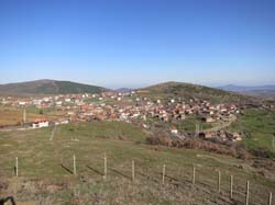 IMG_3572