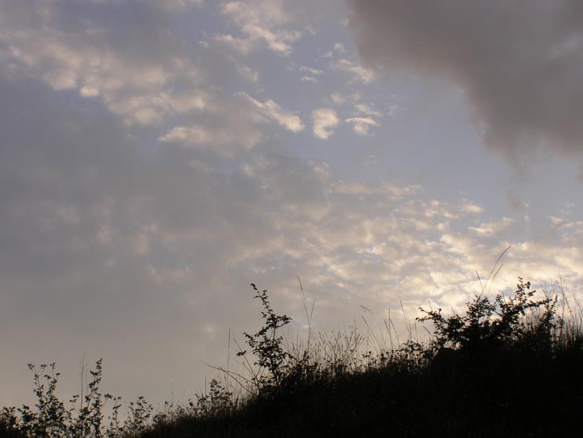 P6270096