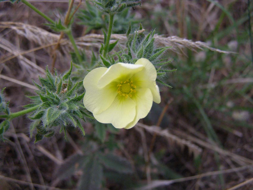 P6270098