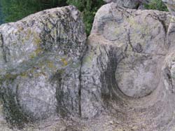P6270103