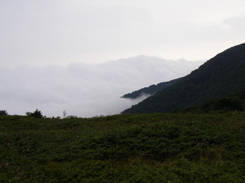 P8110001