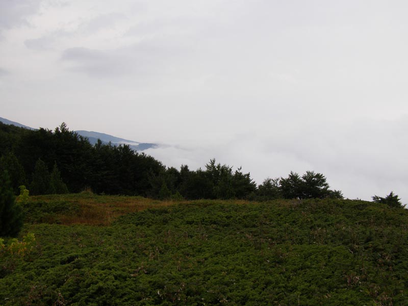 P8110002