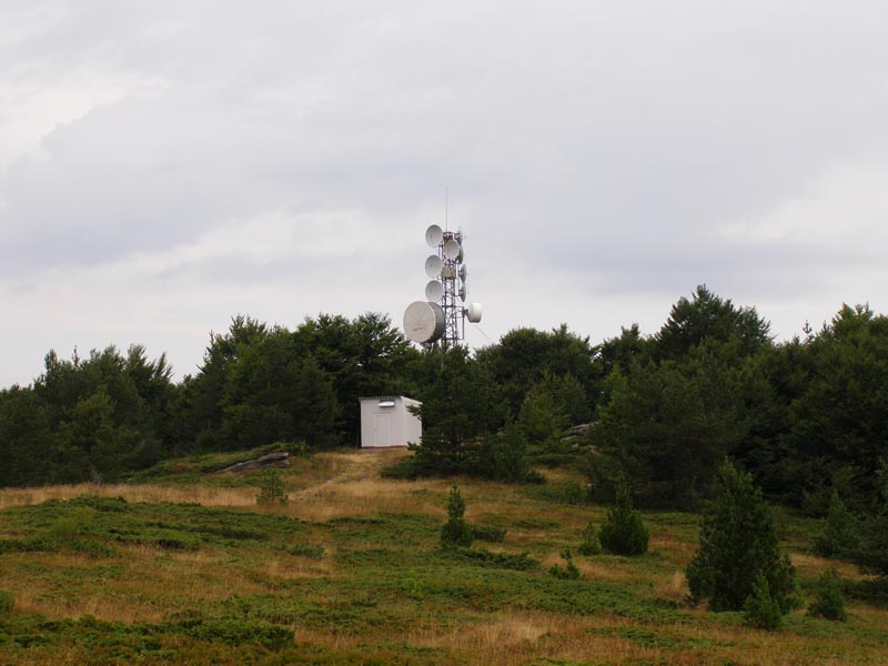 P8110003