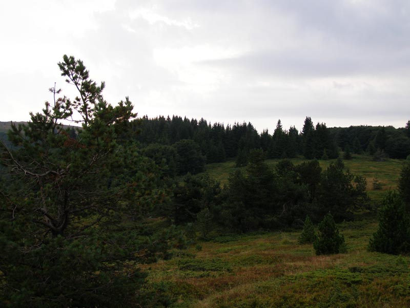 P8110004