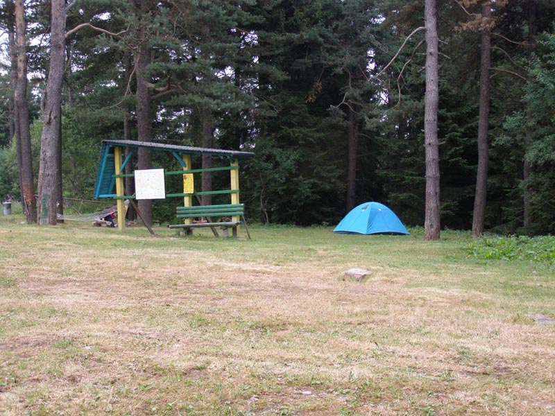 P8110011