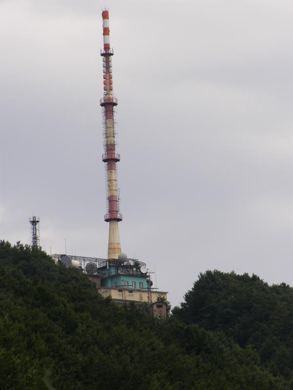 P8110042