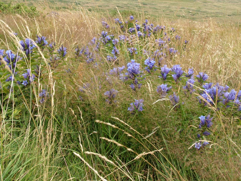 P8110054