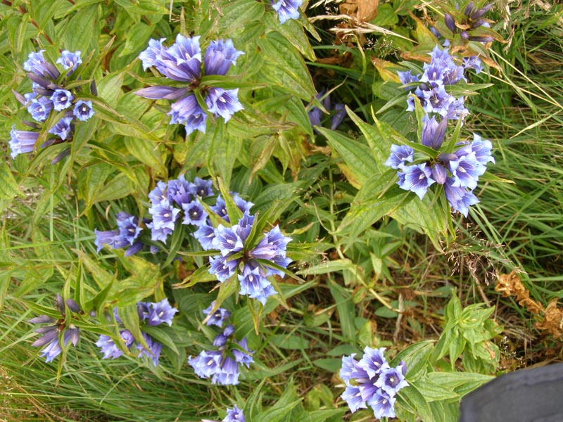 P8110055