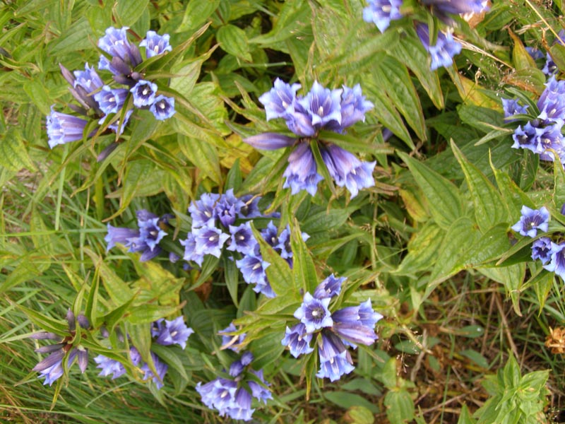 P8110056