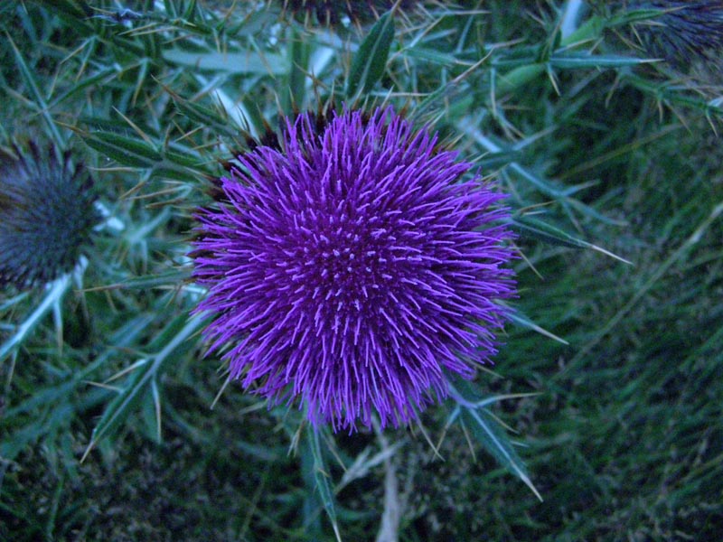 P8110058
