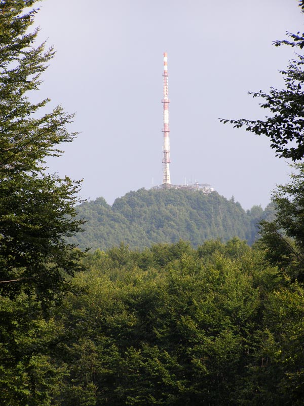 P8110059