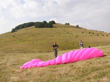 P8110025