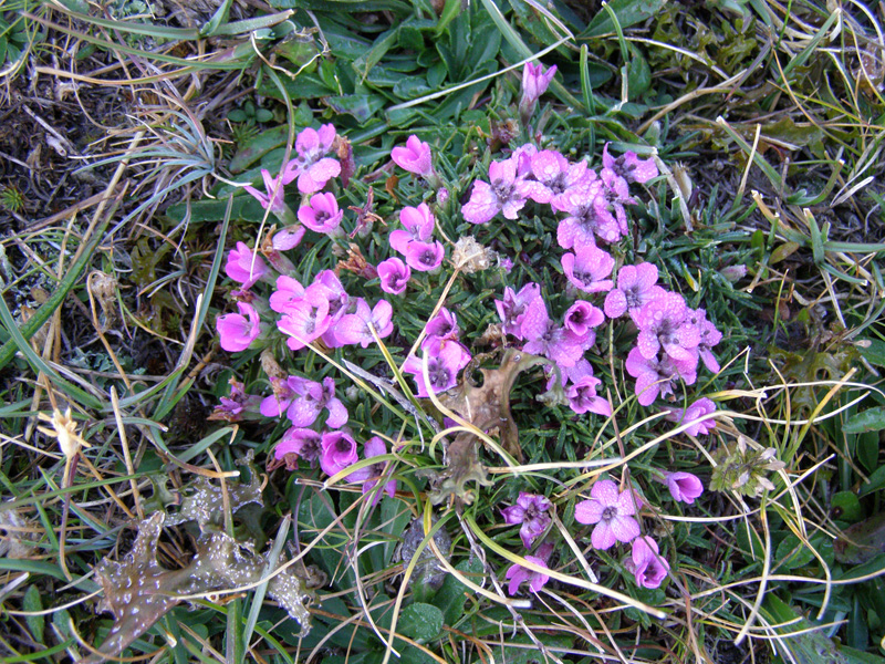 P8230357