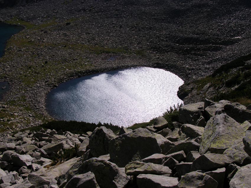 P8290206